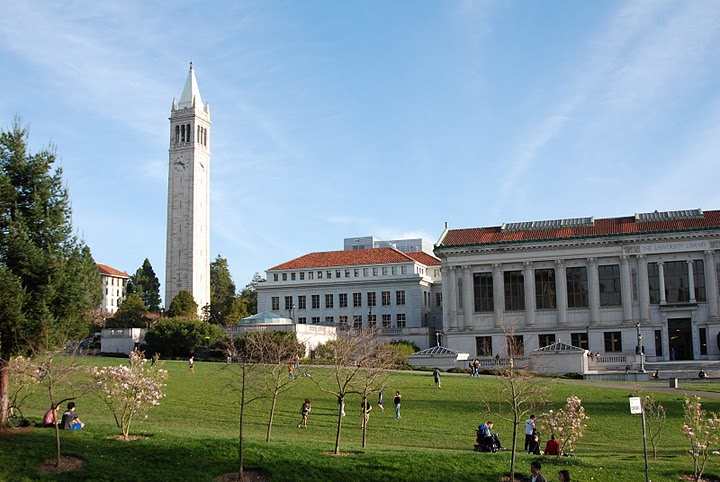 The Top Global Universities- 